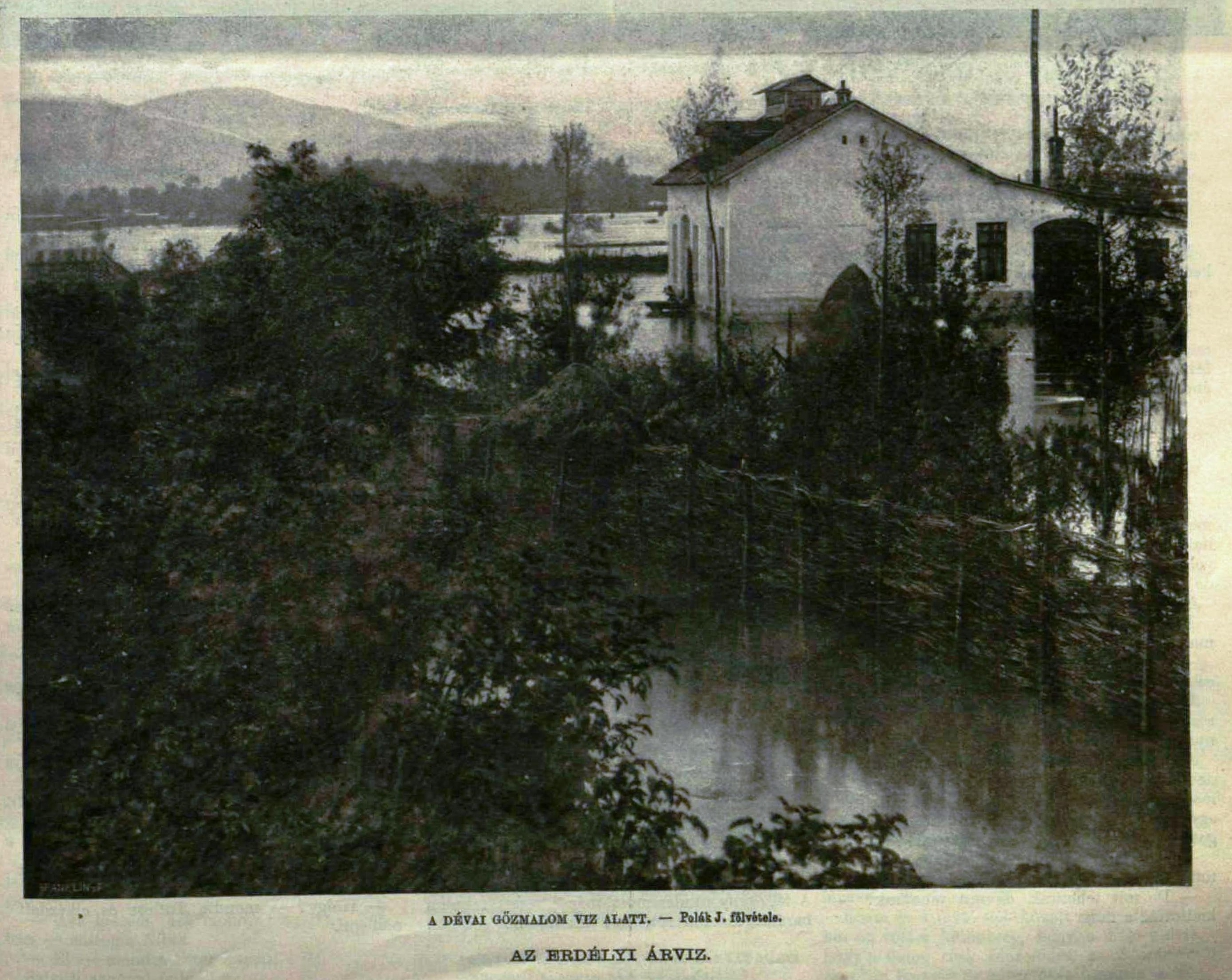 1. D
